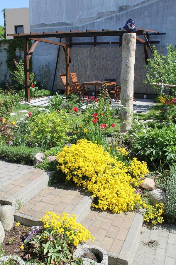 Strandnahe Ferienwohnungen Mit Garten Koserow Εξωτερικό φωτογραφία